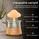 Ультразвуковий зволожувач повітря Doctor-101 Rainfall із ефектом дощу. Нічник гриб зі зволожувачем повітря, оригінал